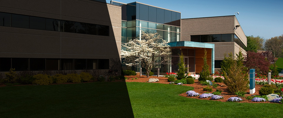 Springfield Landscapers